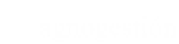 Magnogestión logo